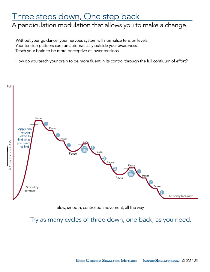 Three steps down, One step back PDF