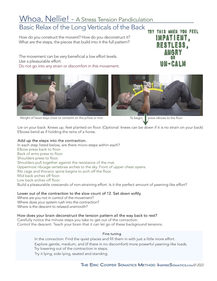 Whoa Nellie! – basic relax of the back verticals 2 page PDF